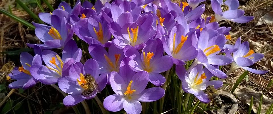 Unsere Veranstaltungen